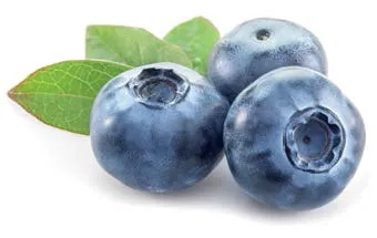 Blueberry IQF
