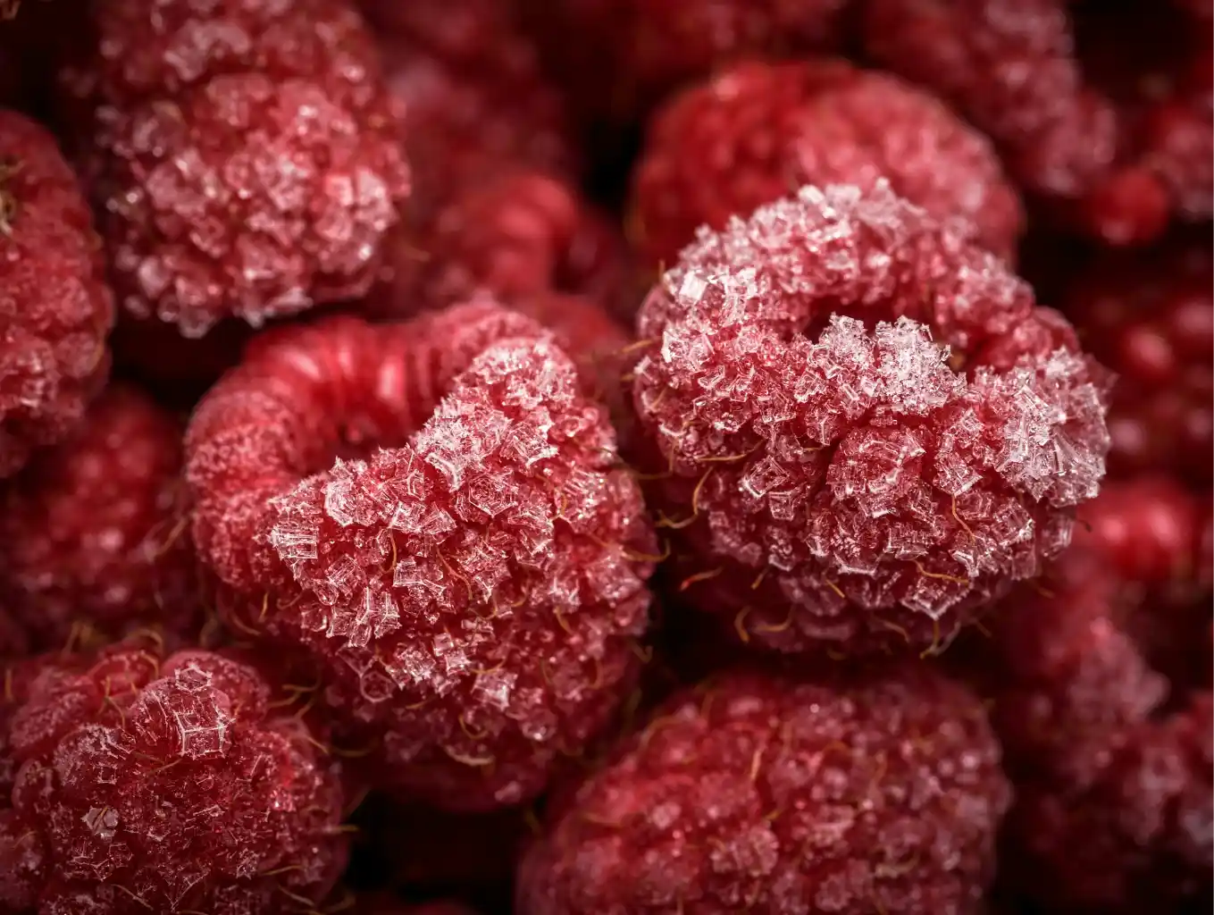Explore our frozen fruit products